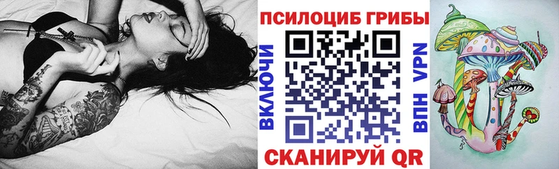 Купить  Высоцк  Псилоцибиновые грибы мицелий 