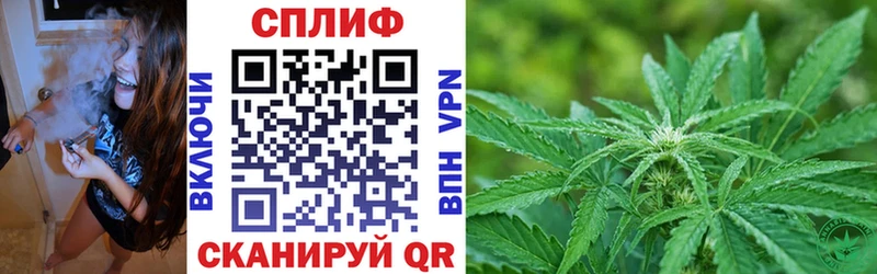 Конопля планчик  Купить закладки  Высоцк 